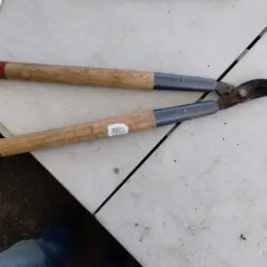lopper ready for sharpening