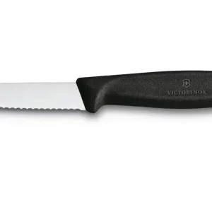 Small serrated knife sharpening in Seattle Washington