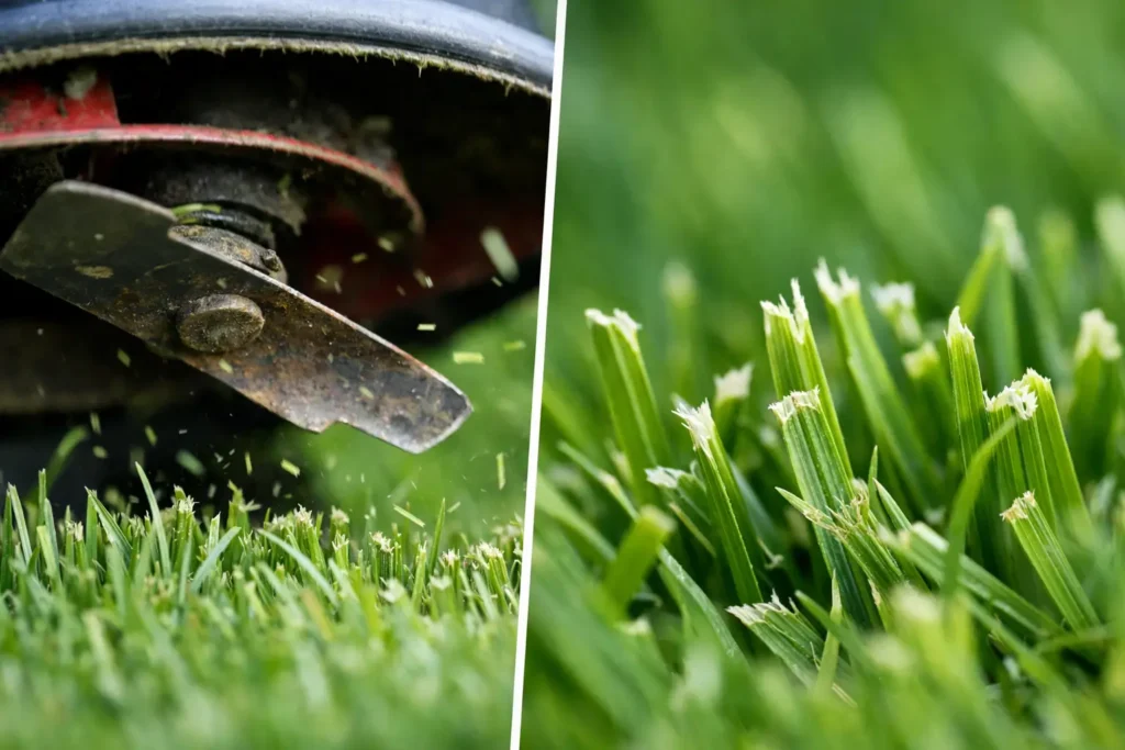 Why Do Mower Blades Tear Grass?